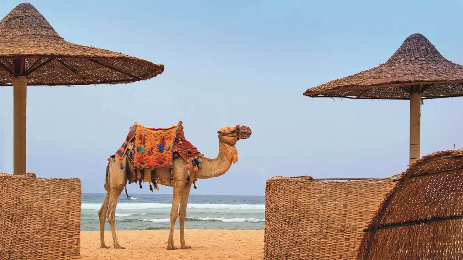 Immagine del viaggio “Sharm el Sheikh • Capodanno 2027”